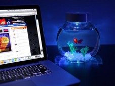 electronic-goldfish-in-a-bowl